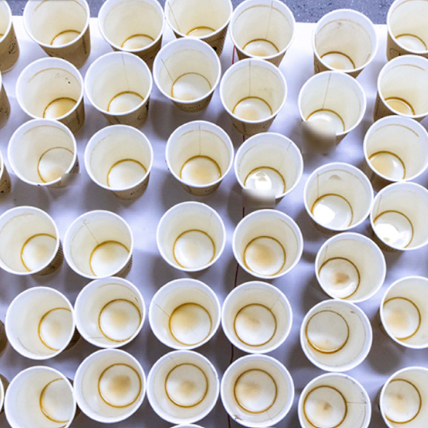 Globální redukce plastů nabízí praktická řešení