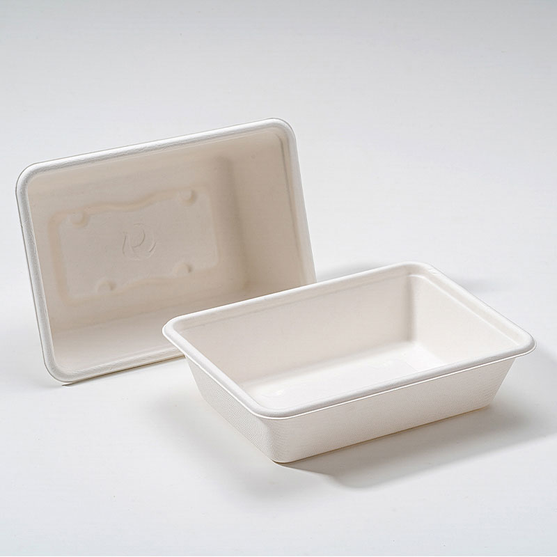 Box Bagasse Square